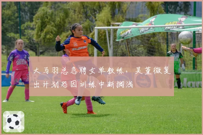 大马羽总急聘女单教练,吴堇微复出计划恐因训练中断搁浅