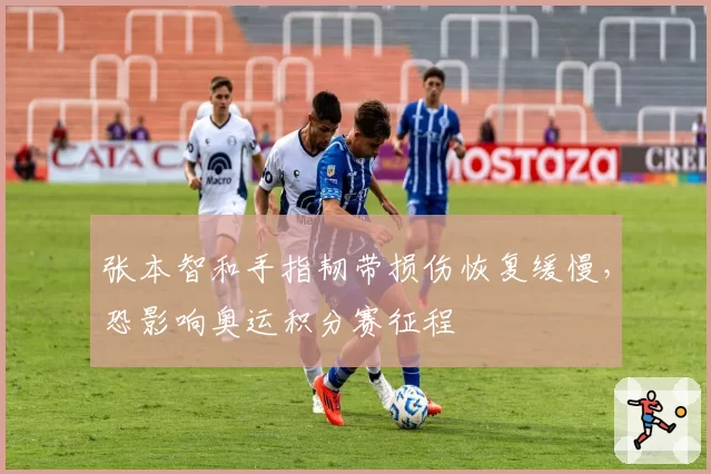 张本智和手指韧带损伤恢复缓慢,恐影响奥运积分赛征程