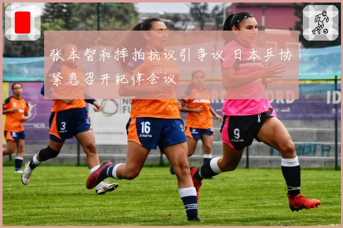 张本智和摔拍抗议引争议 日本乒协紧急召开纪律会议