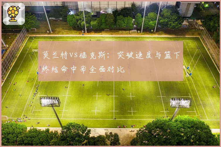 莫兰特vs福克斯:突破速度与篮下终结命中率全面对比